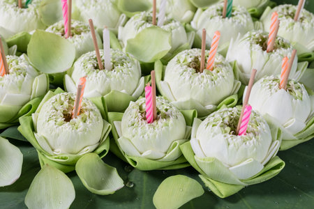 floating basket made from lotus