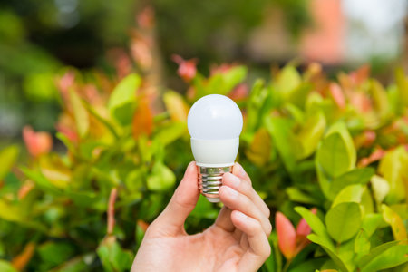 hand holding light bulb with green and red tree background, energy and environment concept