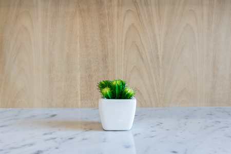 plant pot decorated on wood wallの写真素材