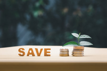 save word and coins arrangement with plant, money saving concept