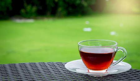 glass of hot tea on table with freshy green nature backgroundの写真素材