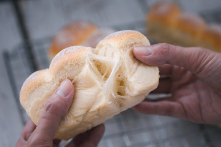 closeup woman hands tearing fresh baked soft dinner roll to show bread texture, successful conceptの写真素材