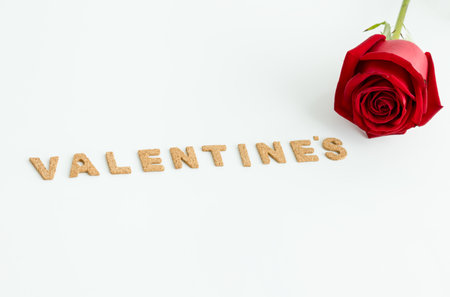 valentine's word with red rose on white background, Happy valentine's day conceptの写真素材