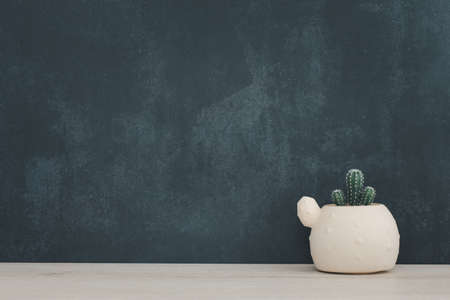 cactus pot decorated on right side of wooden shelf or counter with dark blue wall background and copy space, home decorの写真素材