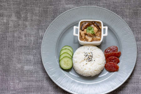 top view rice with chicken gravy ready to eatの写真素材