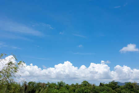 textured of cloud on blue sky with top of green trees at bottomの写真素材