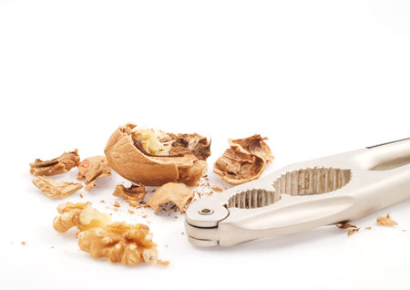 Cracked walnut with part of a metal nutcracker