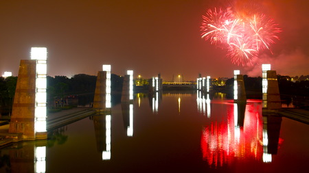 Greenery fireworks night の写真素材