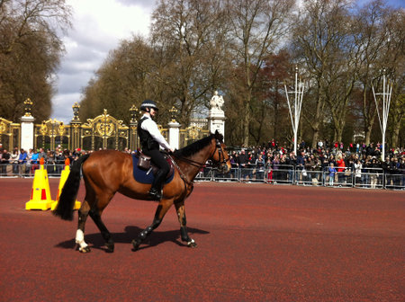 London Mounties Parade besides Hyde Park and Buckingham Palace