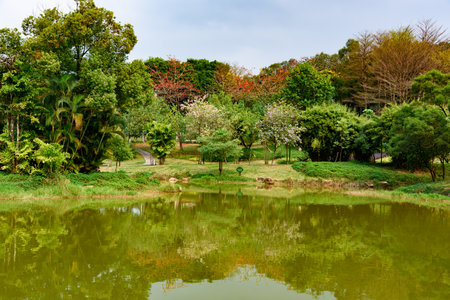 Spring scenery at Yuanmei Park in Dongguan, China. A tranquil lake is surrounded by lush trees.の写真素材
