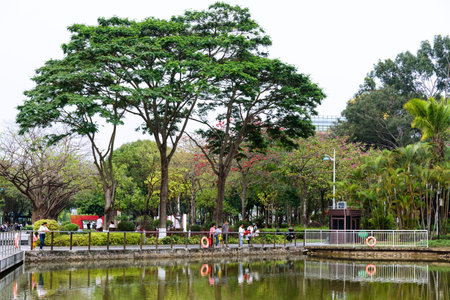 Spring scenery at Yuanmei Park in Dongguan, China. A tranquil lake is surrounded by lush trees.