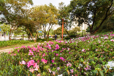 Landscape of Yuanmei Park in the center of Dongguan, china. Spring scenery in the park.の写真素材