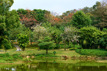 Spring scenery at Yuanmei Park in Dongguan, China. A tranquil lake is surrounded by lush trees.