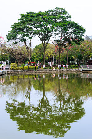 Spring scenery at Yuanmei Park in Dongguan, China. A tranquil lake is surrounded by lush trees.の写真素材