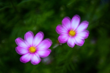 Natural scenery in spring.