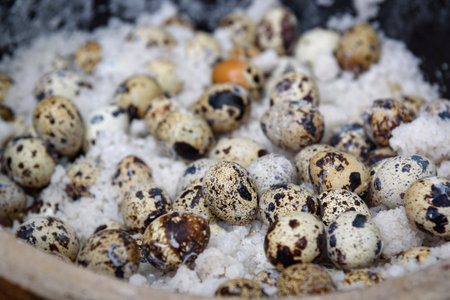 Salt-baked quail eggs, a snack with the flavor of Shaanxi, China.の写真素材