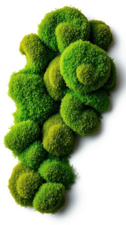 Lush green moss arrangement showcasing vibrant textures and colors in a natural-inspired design displayの素材