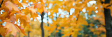 Autumn leaves showcase vibrant colors in a peaceful forest setting during a sunny afternoonの素材