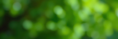 Soft green foliage creates a serene atmosphere in a sunlit garden during midday hoursの素材