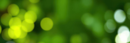 Soft green bokeh background creates a calming atmosphere in a natural settingの素材