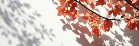 Vibrant autumn leaves casting intricate shadows on a light-colored wall in a serene outdoor settingの素材