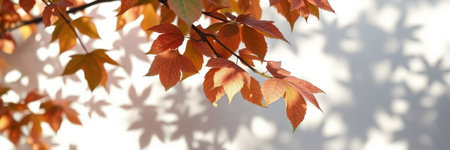 Colorful autumn leaves casting intricate shadows on a white wall in bright sunlightの素材