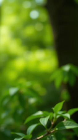 Lush green foliage illuminated by soft sunlight filtering through trees in a serene forest settingの素材
