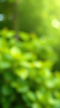 Lush green foliage illuminated by soft sunlight filtering through trees during a serene afternoon in a peaceful parkの素材