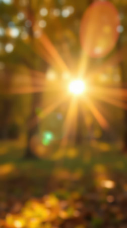 Golden sunlight filters through trees in an autumn forest creating a warm and inviting atmosphere for outdoor activitiesの素材