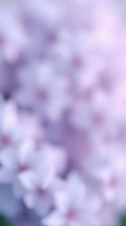 Floral blur capturing the beauty of lilac blossoms in springtime garden settingの素材