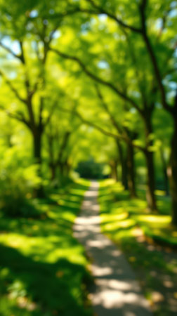Lush green forest path with sunlight filtering through leaves in a serene natural setting during summerの素材