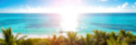 Bright sunlight reflecting on tranquil ocean waters with palm trees in foreground during a warm afternoonの素材