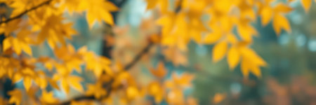 Autumn leaves turning vibrant yellow against a blurred forest background during the fall seasonの素材