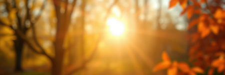 Golden sunlight filters through autumn leaves in a serene forest setting during early morning hoursの素材