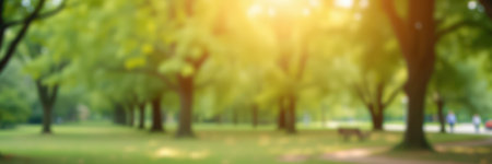 Bright sunlight filtering through lush trees in a serene park during a warm afternoonの素材