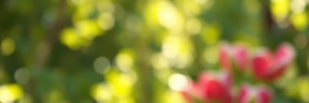 Colorful flowers bloom in a vibrant garden during a sunny day, surrounded by lush greenery and soft sunlight filtering through leavesの素材