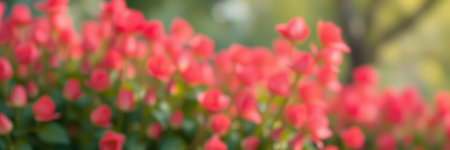 Vibrant blooming flowers spread color across a sunny garden in mid-springの素材