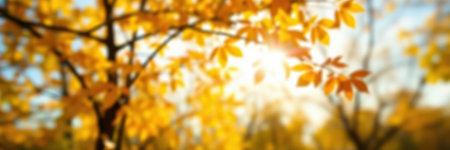 Golden autumn leaves shimmering in the sunlight during a peaceful afternoon in a serene park settingの素材