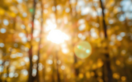 Sunlight filters through golden autumn leaves in a serene forest setting during a bright afternoonの素材