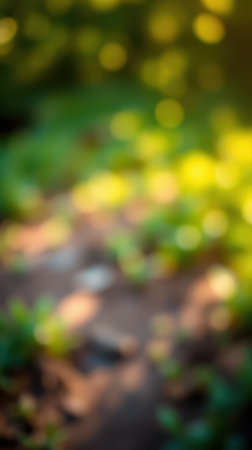 Colorful blur of nature with vibrant green plants and soft sunlight illuminating the environment during late afternoonの素材