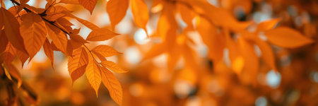Bright orange leaves fill the branches during autumn in a serene natural settingの素材