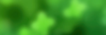 Vibrant green foliage captured in a lush garden during a sunny afternoonの素材