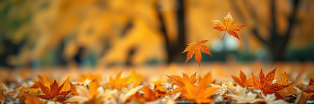 Beautiful autumn leaves falling in a serene park filled with vibrant colors during a sunny afternoonの素材