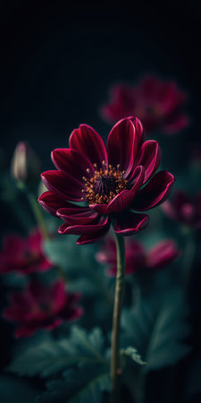 Elegant red flower blossom captured in a serene garden setting during the afternoon lightの素材