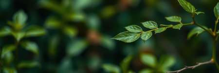 Green leaves growing in lush vegetation, showcasing natures beauty in a tranquil settingの素材
