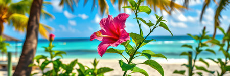 A pink hibiscus flower blooms in the foreground, with a beach and blue ocean in the backgroundの素材