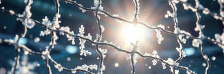 Frosty branches glistening in winter sunlight create a serene and magical atmosphere outdoorsの素材