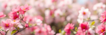 Pink blossoms bloom vibrantly in a garden during springtime, creating a serene and colorful atmosphereの素材