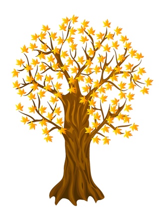 autumn tree , with isolation on a white backgroundのイラスト素材