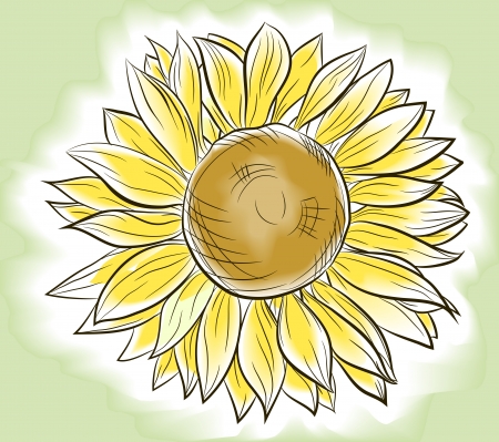 Flower sunflower painted imitating watercolorのイラスト素材
